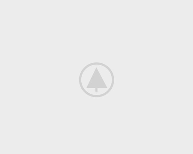 wood-gallery-placeholder wood-gallery-placeholder